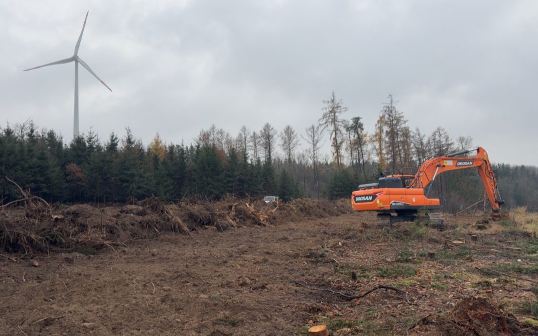 Baufeldfreimachung beginnt